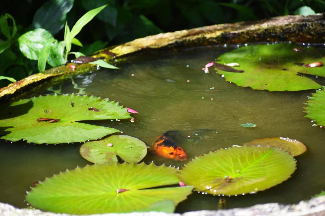 Srishti Homestay Madikeri Eksteriør billede